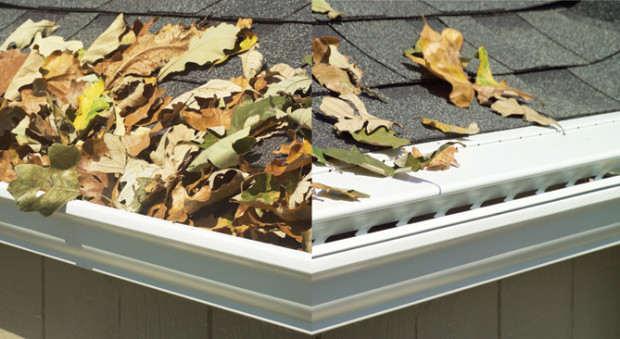 LeaFree Gutters